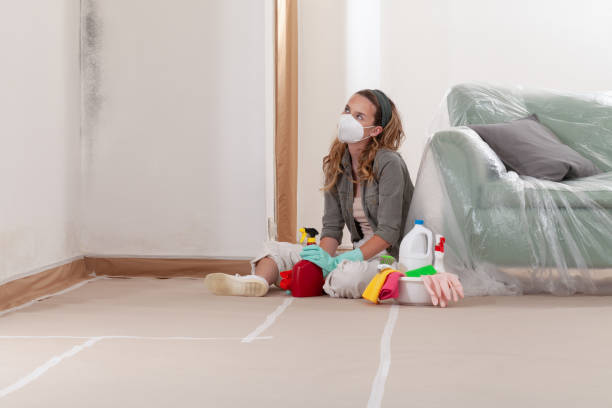 Trusted Mold Inspection service in Brodnax, VA - Cheap Mold Removal